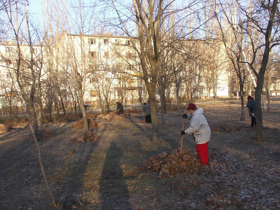 керівники звітували. Зображення 1