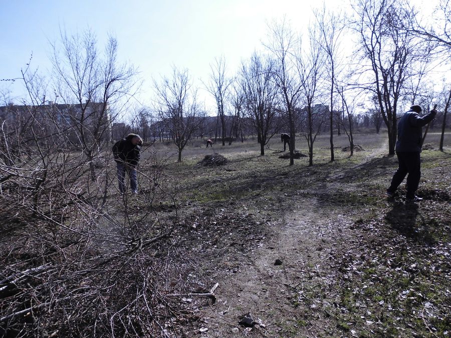 на порядку денному благоустрій міста. Зображення 1