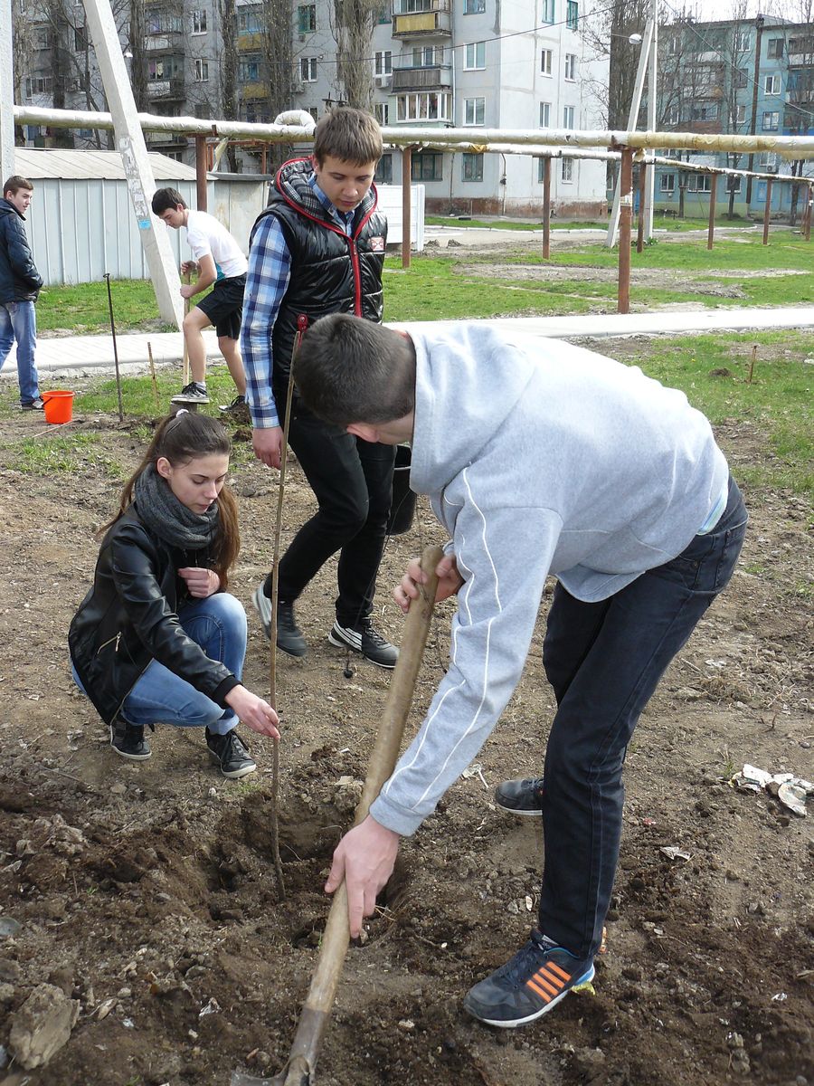 з миру по дереву. Зображення 1