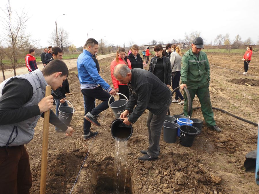 з миру по дереву. Зображення 2