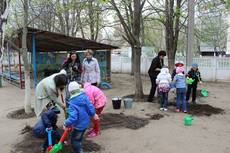 з миру по дереву. Зображення 3