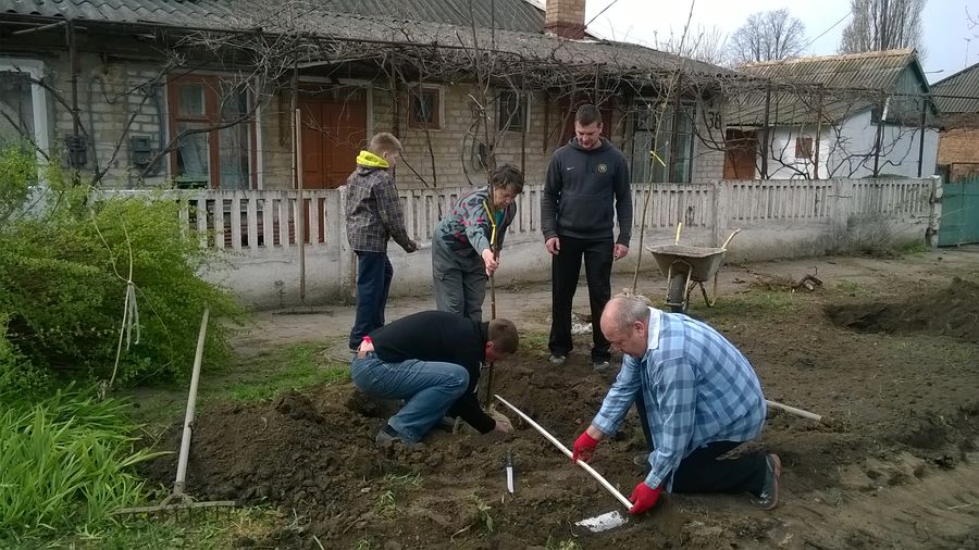 з миру по дереву. Зображення 4