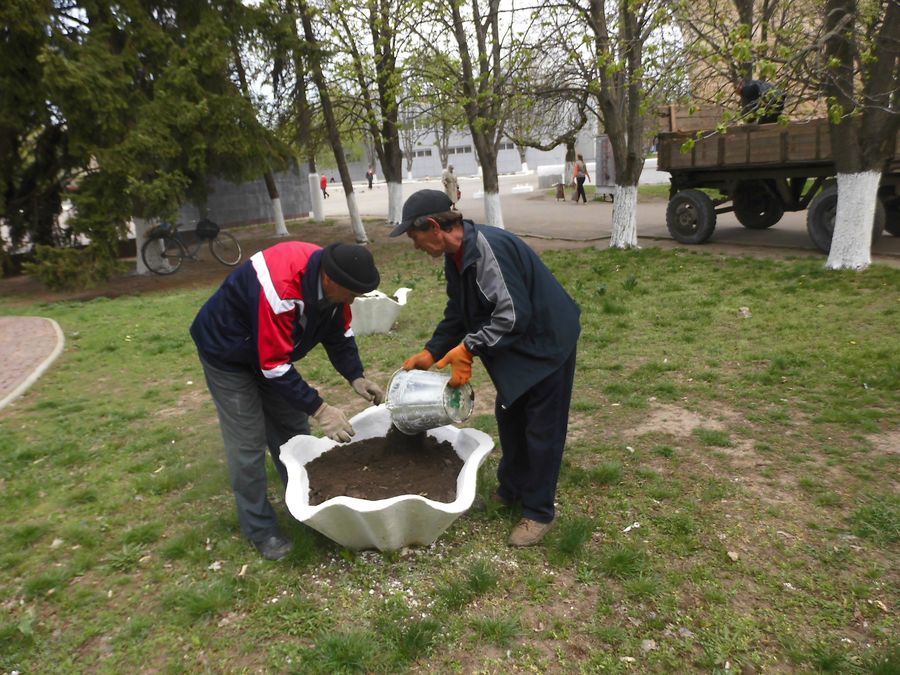 за місто зелене, квітуче, доглянуте…. Зображення 1