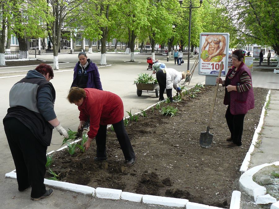 за місто зелене, квітуче, доглянуте…. Зображення 2