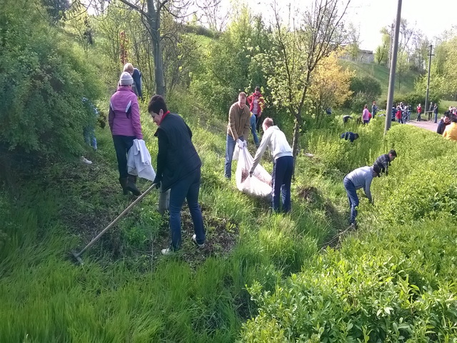 півтори тисячі містян вийшли на генеральне прибирання. Зображення 5