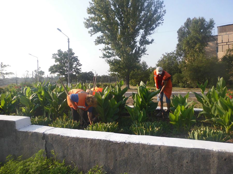 тиждень для міста пройшов спокійно. Зображення 2