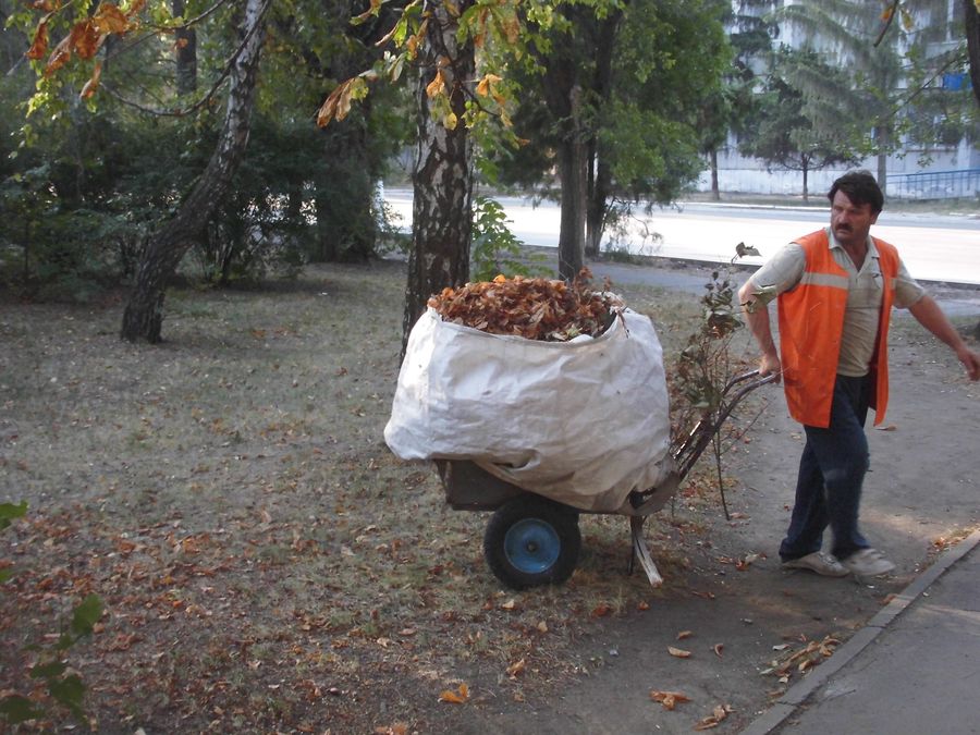 пульс тижня. Зображення 1