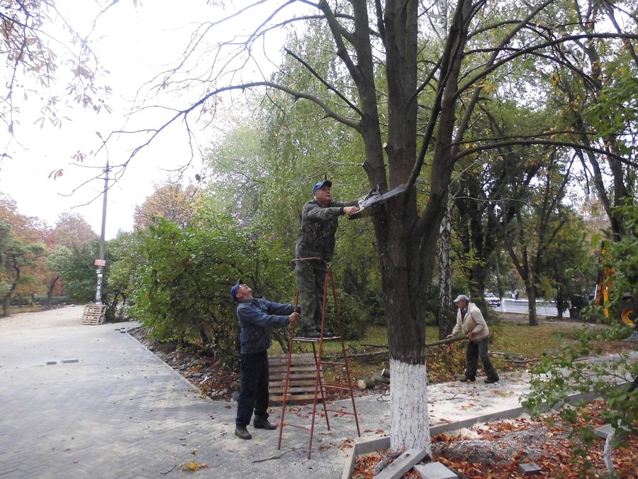 погода-не завада. Зображення 3