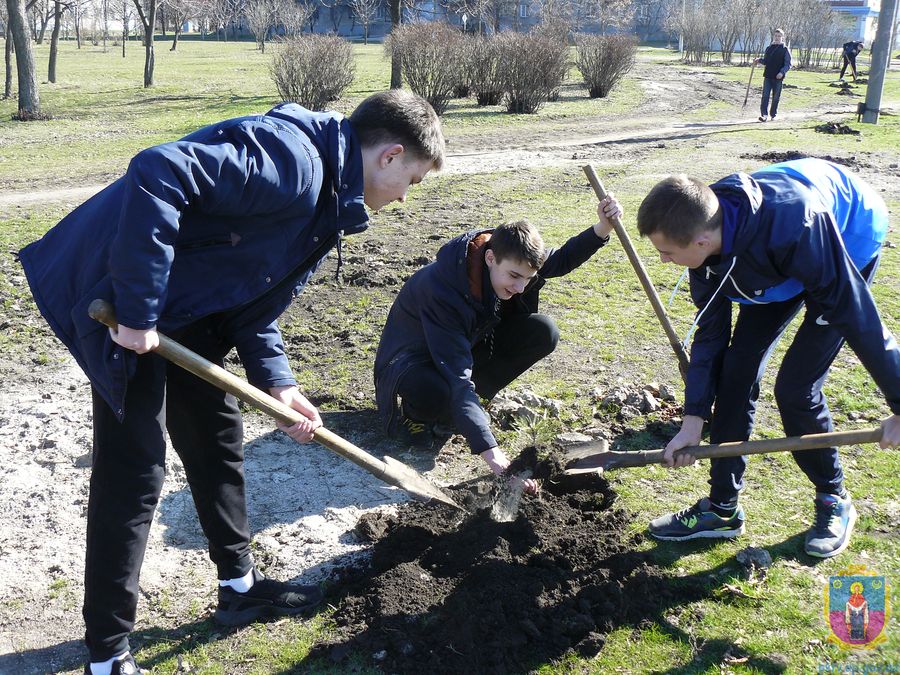 на бульварі шевченка висаджено сосни. Зображення 1