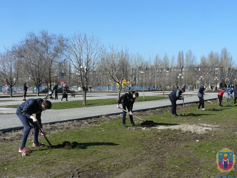 на бульварі шевченка висаджено сосни. Зображення 2