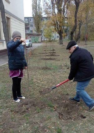 осінь примножила зелені насадження. Зображення 2