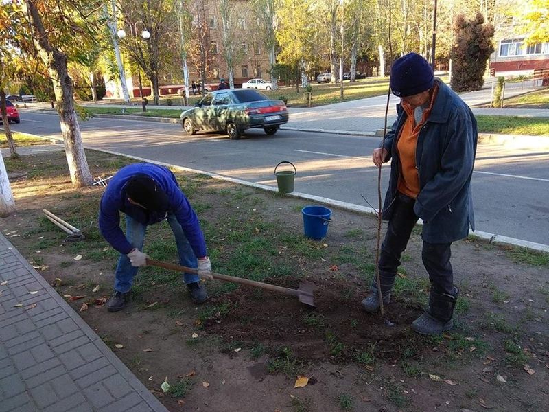 осінь примножила зелені насадження. Зображення 3